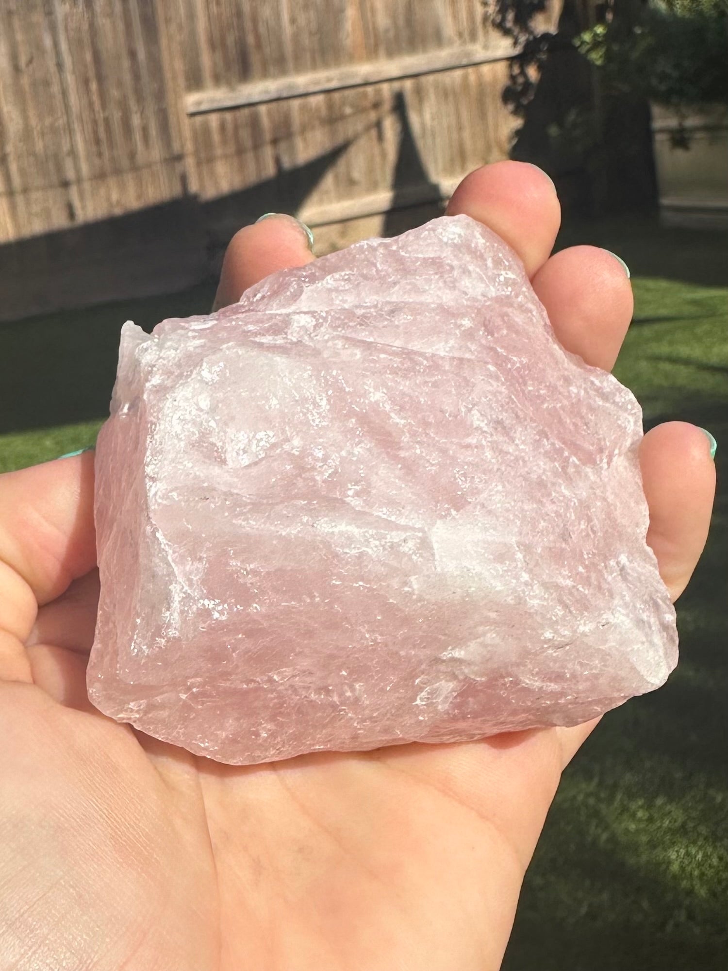 Rose Quartz Crystals - The Oracle Alchemist