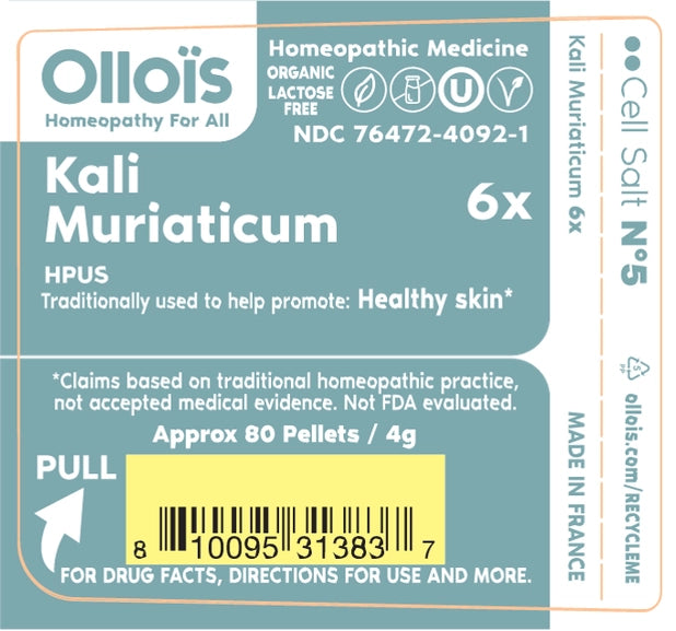 Cell Salt N°5 Kali Muriaticum - The Oracle Alchemist