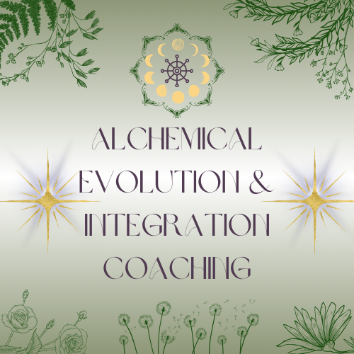 Alchemical Evolution & Integration Coaching 1 hr - The Oracle Alchemist