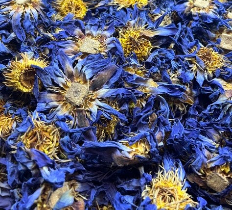 Blue Lotus Whole Flower - The Oracle Alchemist